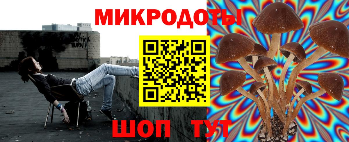 Галлюциногенные грибы мухоморы Осинники